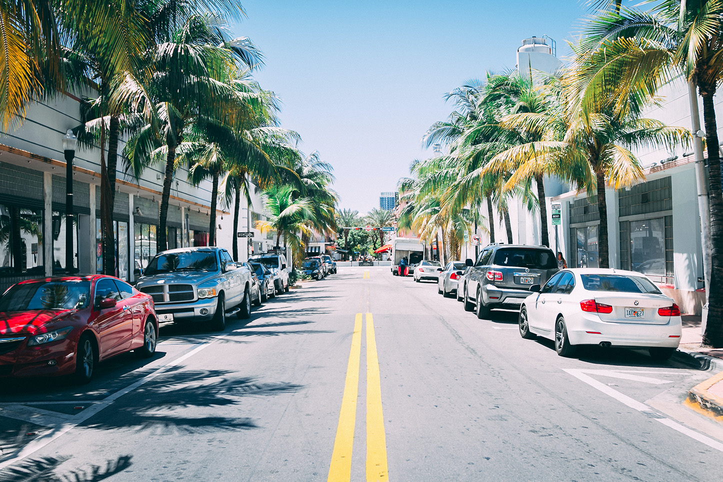 Street in Miami with cars and palm trees