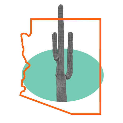 Collage with a black and white cactus, orange outline of Arizona, and a mint green oval