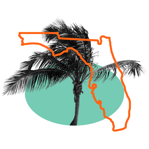 Collage with a black and white palm tree, orange outline of Florida, and a mint green oval
