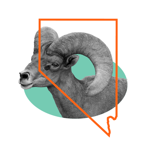 Collage with a black and bighorn, orange outline of Nevada, and a mint green oval