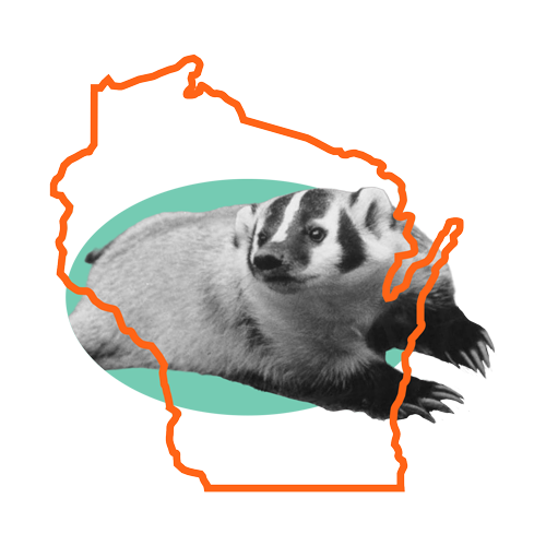Collage with a black and white badger, orange outline of Wisconsin, and a mint green oval